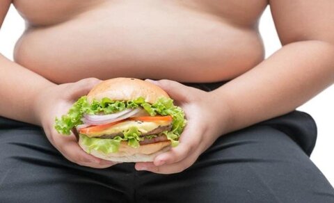 Obesitas Pada Anak Makin Meningkat, Ayo Kenali Penyebabnya Sejak Dini